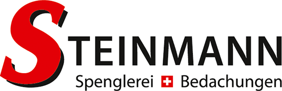 Logo Thomas Steinmann AG